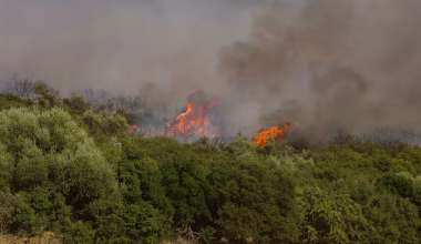Ασυνείδητος αλλοδαπός έβαλε φωτιά σε σκουπίδια στη Νέα Μάκρη και προκάλεσε πυρκαγιά