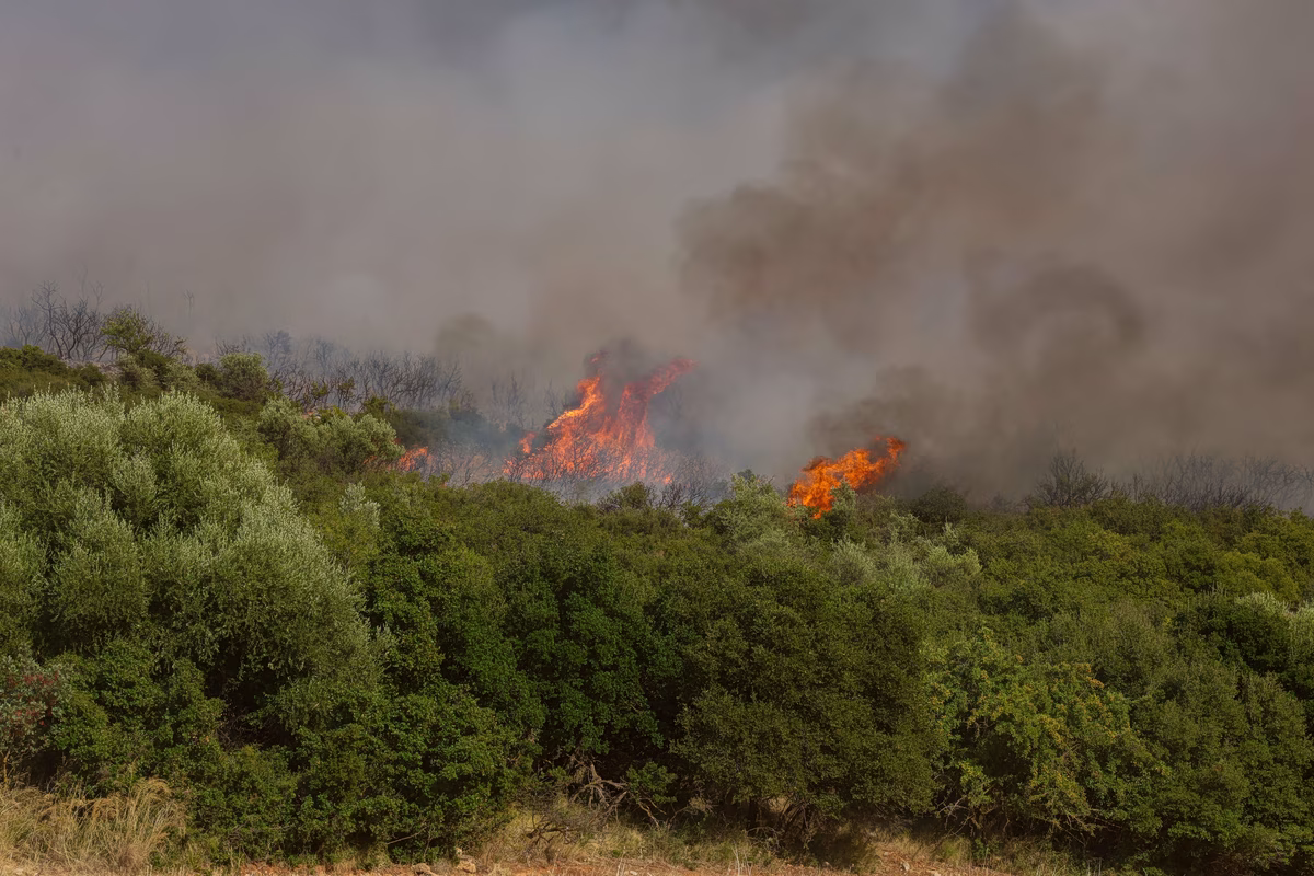 Ασυνείδητος αλλοδαπός έβαλε φωτιά σε σκουπίδια στη Νέα Μάκρη και προκάλεσε πυρκαγιά