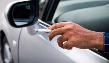 Χίος: Τούρκος πέταξε τσιγάρο σε δασική περιοχή – Του επιβλήθηκε πρόστιμο