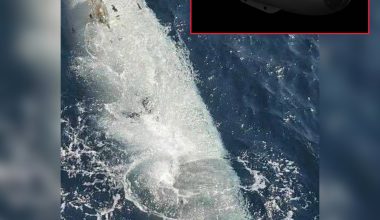 ΗΠΑ για το υποβρύχιο drone που αιχμαλώτισαν οι Ιρανοί: «Παλιό και με μηχανικό πρόβλημα»