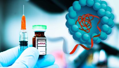 Μελέτη-σοκ για το mRNA εμβόλιο της Pfizer: «Χτυπά» εκεί που δεν το περίμενε κανείς – Τα νέα   ευρήματα