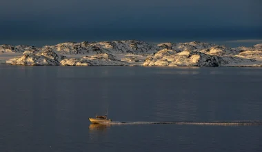 Γροιλανδία: Ρομπότ κατέγραψε κρυφό υποθαλάσσιο οικοσύστημα δίπλα σε παγετώνα