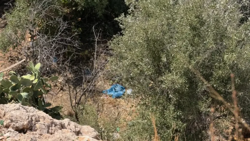 Τι λέει ο άνδρας που εντόπισε τα οστά στην Κυψέλη: «Η σακούλα δεν ήταν κρυμμένη αλλά πεταμένη κάτω από ένα δέντρο»