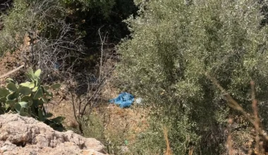 Τι λέει ο άνδρας που εντόπισε τα οστά στην Κυψέλη: «Η σακούλα δεν ήταν κρυμμένη αλλά πεταμένη κάτω από ένα δέντρο»