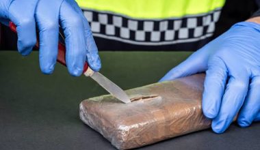 Μεσόγεια: Κατασχέθηκαν περίπου 80 κιλά ναρκωτικών κοντά στο «Ελευθέριος Βενιζέλος»