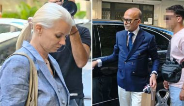 ΙΣΑ: «Ι.Γάκα και Η.Θεοδωρόπουλος μας παραπλάνησαν – Δεν είδαμε ποτέ μηχανήματα πλασμαφαίρεσης»