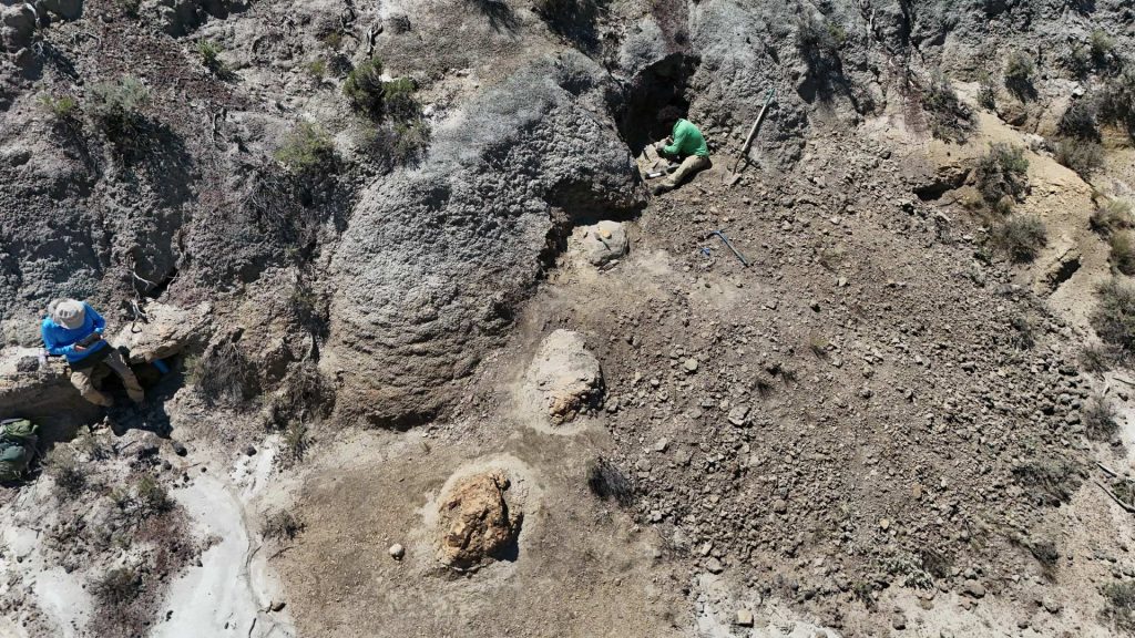 Βρήκαν τα ίχνη ενός T. rex 66,5 εκατ. χρόνια μετά – Πώς περπατούσε ο «βασιλιάς» των δεινοσαύρων (βίντεο)