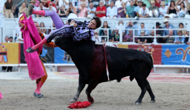 Βίντεο: Ταυρομάχος παγιδεύτηκε στα κέρατα ταύρου για περισσότερα από 10 δευτερόλεπτα στην αρένα της Αρλ