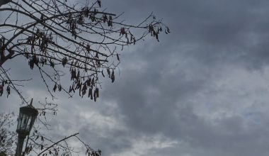 Φθινοπωρινός ο καιρός σήμερα με βροχές και καταιγίδες – Ποιες περιοχές θα επηρεαστούν