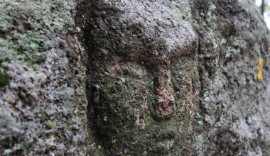 Καζακστάν: Πυροσβέστες εντόπισαν μυστηριώδες πρόσωπο σκαλισμένο σε βράχο (βίντεο)