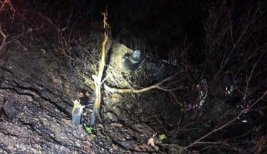 Φωκίδα: Όχημα με τριμελής οικογένεια έπεσε σε γκρεμό! – Νεκρός ο 72χρονος οδηγός (φωτο)
