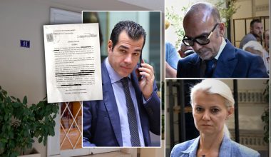 Ήταν μέλη στην ίδια εταρεία ο Θάνος Πλεύρης με τους δύο γιατρούς του Γιώργου Μαζωνάκη!