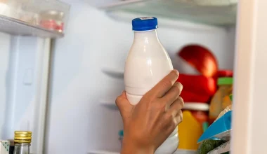 Αυτός είναι ο λόγος που δεν πρέπει ποτέ να τοποθετείτε το γάλα στην πόρτα του ψυγείου