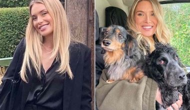 Παράτησε τη δικηγορία και έγινε dog walker: Δουλεύει τις μισές ώρες και βγάζει πολλά περισσότερα