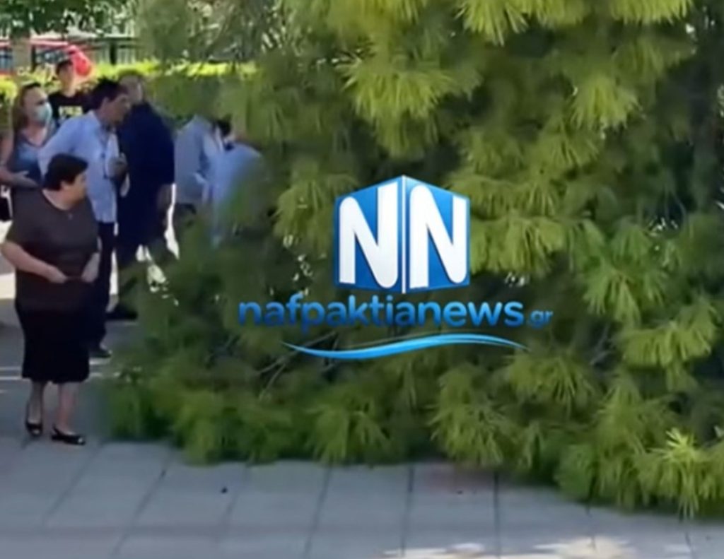 Αναστάτωση στην Ναύπακτο: Τρεις τραυματίες μετά από πτώση κλαδιού εν ώρα κηδείας (βίντεο)