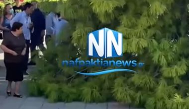 Αναστάτωση στην Ναύπακτο: Τρεις τραυματίες μετά από πτώση κλαδιού εν ώρα κηδείας (βίντεο)