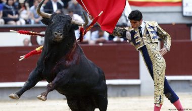 Πανικός σε αρένα της Μούρθια στην Ισπανία: Ταύρος 508 κιλών όρμησε στις κερκίδες (βίντεο)