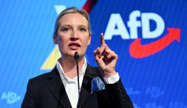 Γερμανία: Το AfD είναι πλέον το πρώτο κόμμα στην Γερμανία