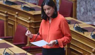 Ν.Κεραμέως: Δεν φτάνουν οι παράνομοι, προσπάθειες και για επιπλέον μετανάστες