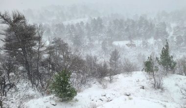 Δύσκολος ο χειμώνας στην Ελλάδα: Τι δείχνουν τα ευρωπαϊκά μοντέλα για χιόνια και ακραία φαινόμενα