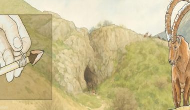 Ουζμπεκιστάν: Αιχμές 80.000 ετών αλλάζουν την εικόνα για τον Homo sapiens