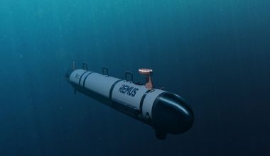 Το Ιράν κατέλαβε αμερικανικό υποβρύχιο drone REMUS 600 στα Στενά του Ορμούζ (βίντεο)