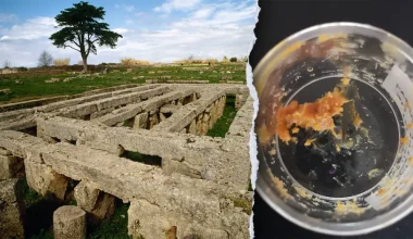 Αυτό είναι το τρόφιμο που δεν χαλάει ποτέ: Βρέθηκε βρώσιμο μετά από 3.000 χρόνια