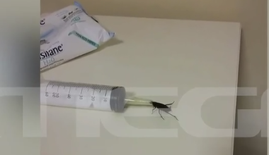 Νέα στοιχεία για την ιδιωτική κλινική στη Θεσσαλονίκη: Μουχλιασμένα φαγητά και κατσαρίδες στον χώρο