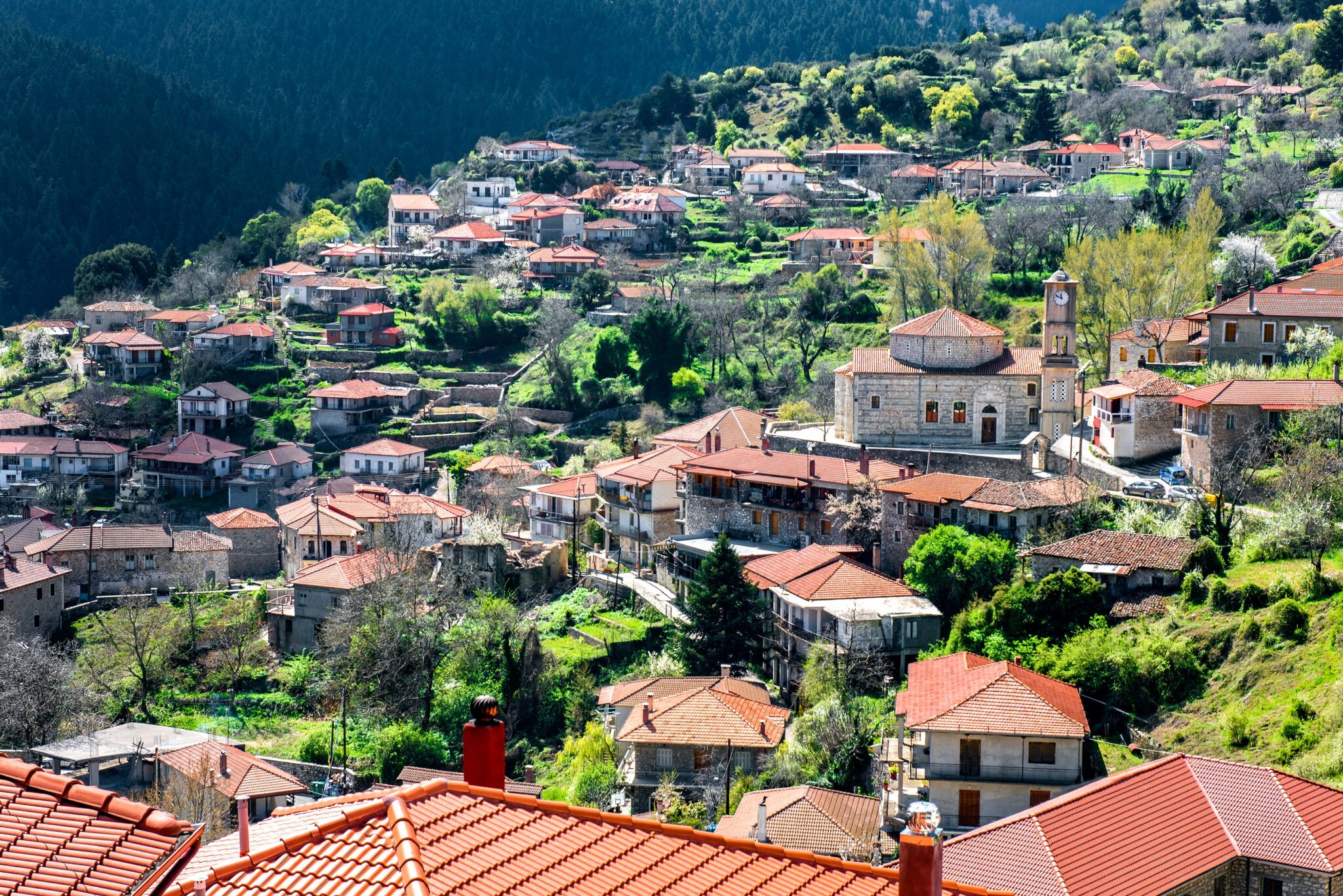 Βαλτεσινίκο: Το πανέμορφο χωριό του Μαινάλου που είναι κρυμμένο μέσα στα έλατα