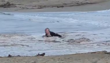 Κρητικός έσωσε μεθυσμένο Άγγλο τουρίστα που έπεσε στον ποταμό Γαζανό – Δείτε βίντεο