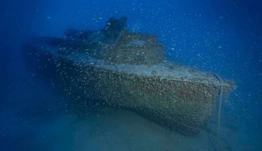 Γερμανία: Βρήκαν ναυάγιο του 17ου αιώνα σκάβοντας για αγωγό (φώτο)