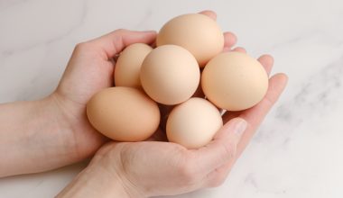 Αυγά στο πρωινό: Πώς να τα τρώτε για να περιορίσετε τις λιγούρες