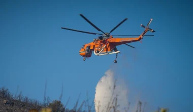 Φωτιά σε δασική περιοχή στο Καταφύλλι Καρδίτσας