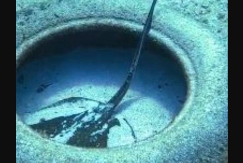 Δείτε βίντεο: Η στιγμή που δύτης στην Τζαμάικα βάζει τέλος στην περιπέτεια που είχε σαλάχι