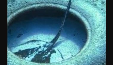 Δείτε βίντεο: Η στιγμή που δύτης στην Τζαμάικα βάζει τέλος στην περιπέτεια που είχε σαλάχι