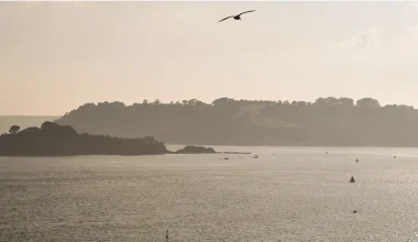 Σκωτία: Πωλείται ιδιωτικό νησί για 412.000 ευρώ – Μόνη πρόσβαση με σκάφος