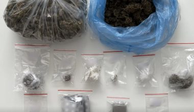 Άμφισσα: Xειροπέδες σε άνδρα με 36 μαχαίρια, ναρκωτικά και 29 κινητά τηλέφωνα (φωτο)