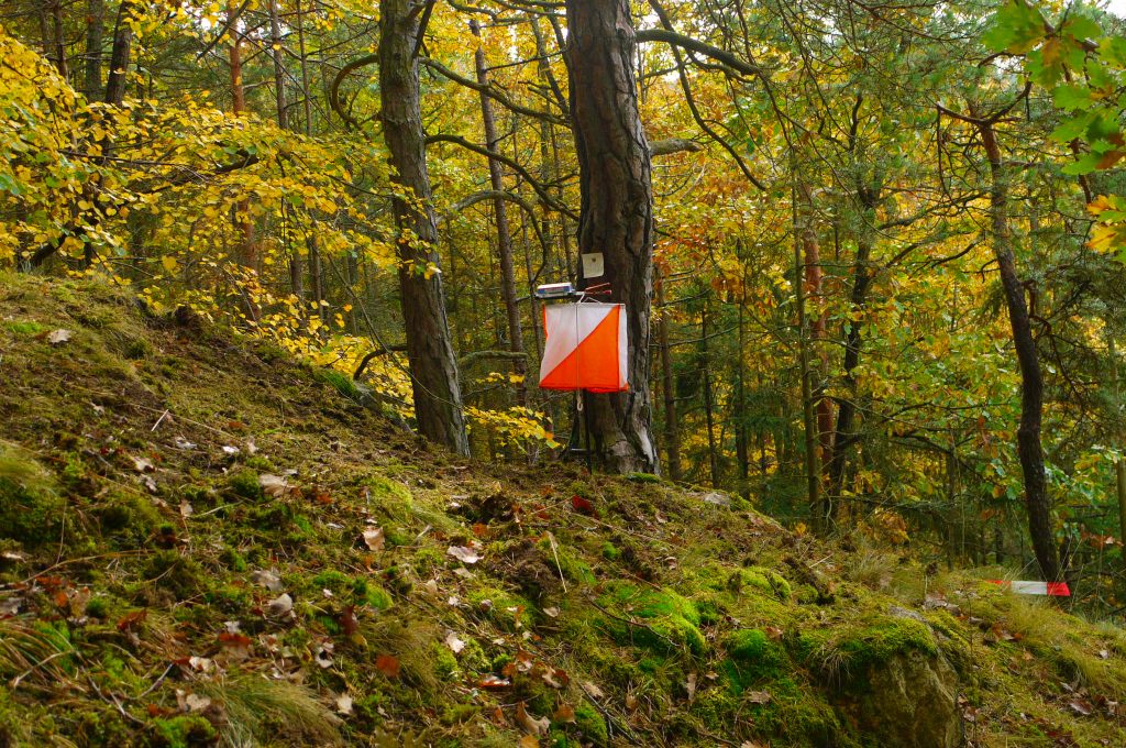Orienteering: Το άθλημα προσανατολισμού που συνδυάζει τρέξιμο, χάρτη και στρατηγική