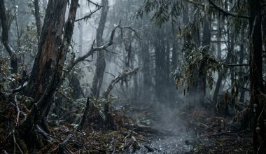 Πού πήγε η όξινη βροχή; Ο απόλυτος τρόμος των 80s & 90s και γιατί εξαφανίστηκε από την επικαιρότητα