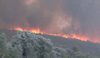 Διάταξη προστασίας για τον ΔΕΔΔΗΕ: Δεν θα πηγαίνουν φυλακή τα στελέχη της για φωτιές