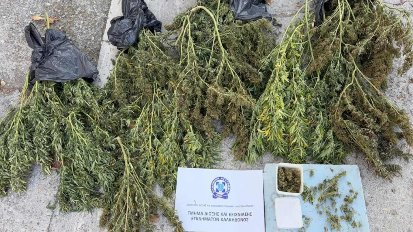 Χειροπέδες σε 63χρονο στην Πέλλα: Είχε «καβατζωμένη» κάνναβη που ξεπερνούσε τα 12 κιλά (φωτο)