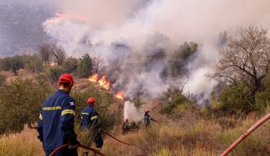 Φωτιά στο Πανόραμα Θεσσαλονίκης: Γυναίκα εντοπίστηκε χωρίς τις αισθήσεις της