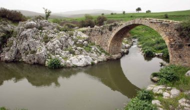 Ανησυχία μετά τα νέα ευρήματα στα νερά του Ασωπού: Εντοπίστηκε χολέρα!