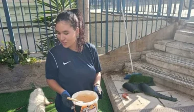 Θεσσαλονίκη: Ελεύθερος με περιοριστικούς όρους ο φίλος της 20χρονης που πέθανε μετά από χρήση MDMA