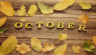 «October Theory»: Γιατί ο Οκτώβριος θεωρείται η ιδανική περίοδος για μια νέα αρχή