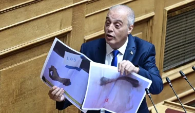 Ν.Πλακιάς για Κ.Βελόπουλο: «Έδειχνε φωτογραφίες οστών ζώων και έλεγε ότι είναι από θύματα στα Τέμπη»