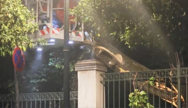 Έπεσε μεγάλο δέντρο στην Ηρώδου Αττικού κοντά στο Μέγαρο Μαξίμου – Έκλεισε ο δρόμος