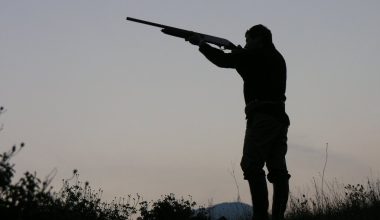 Παραλίγο τραγωδία στην Κοζάνη: Κυνηγός τραυματίστηκε από σφαίρα που εξοστρακίστηκε