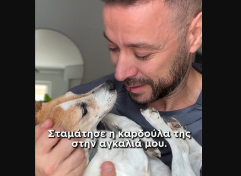 Πέθανε η Μιλού που είχε συγκινήσει το διαδίκτυο: Η σπαρακτική ανάρτηση του ιδιοκτήτη της (βίντεο)