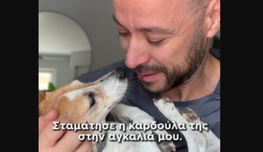 Πέθανε η Μιλού που είχε συγκινήσει το διαδίκτυο: Η σπαρακτική ανάρτηση του ιδιοκτήτη της (βίντεο)